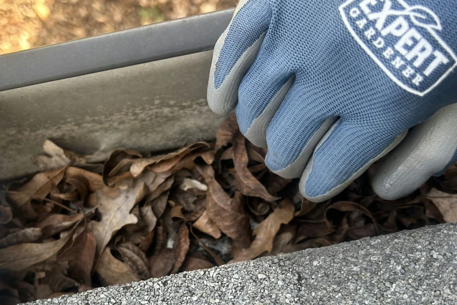 Gutter Cleaning Allen TX